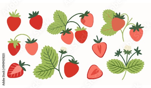 Hand Drawn Strawberry Vector Illustration Collection with Whole and Sliced Berries