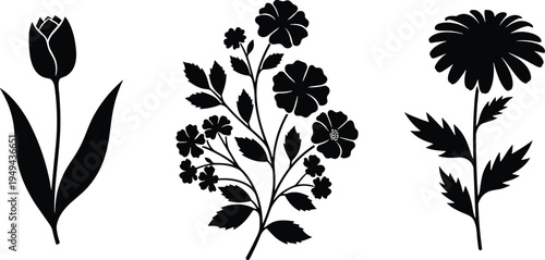 Black silhouettes of tulip daisy and flowering branch on white flowers
