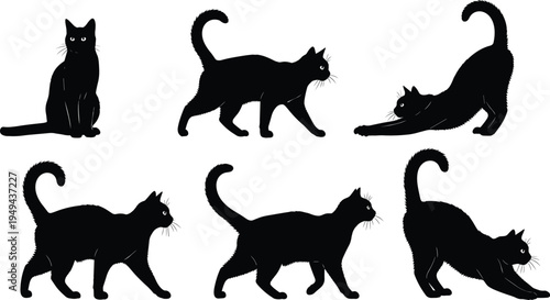 Black cat silhouettes in various poses feline animal pets