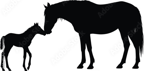 Black silhouette of horse and foal touching noses white background
