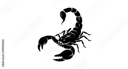 Black Scorpion Silhouette, Dangerous Arachnid, Isolated on White Background