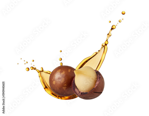 Two macadamia nuts with oil close-up isolated on a transparent background. Generative AI