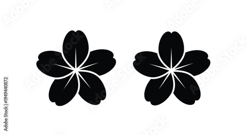 Two delicate black cherry blossoms with five petals are displayed