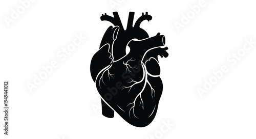 Anatomical illustration of a human heart in stark black silhouette