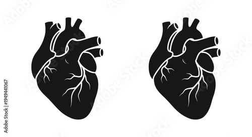 Two anatomical heart illustrations in a simple black and white style