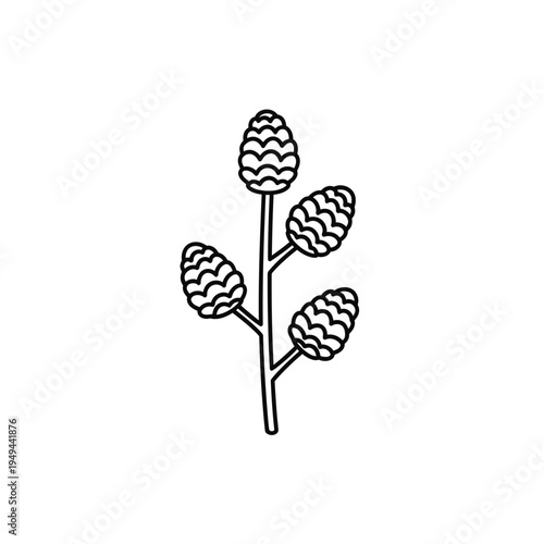 Stylized Branch with Four Pine Cones Line Art vector illustration