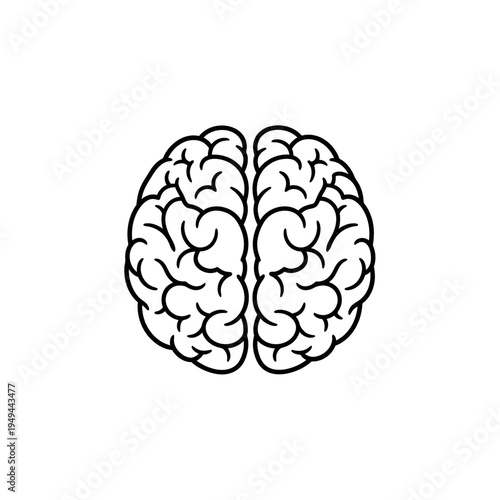 Human Brain Outline on White Background vector illustration
