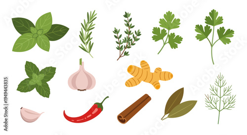 Fresh herbs and spices collection