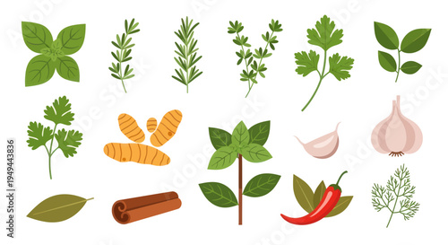 Fresh herbs and spices collection