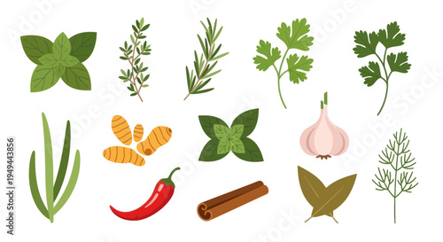 Fresh herbs and spices on white background