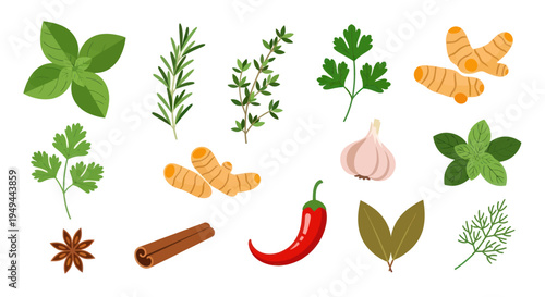 Fresh herbs and spices on white