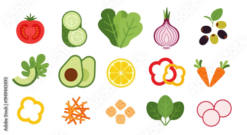 Fresh vegetable salad ingredients illustration