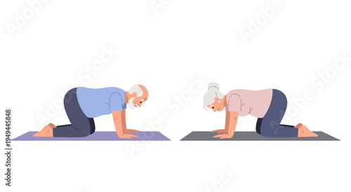 Senior couple practicing yoga on mats in gentle poses for health and wellbeing