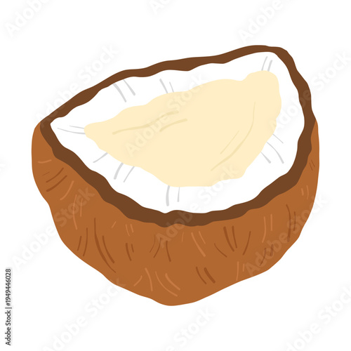 Half coconut with white pulp isolated on white background. Tropical fruit illustration, natural food ingredient