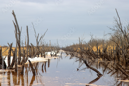 The old canals are cleared of snow and ice in the spring. The remains of dead woody vegetation exacerbates the unsightly picture