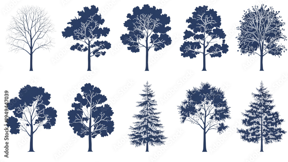 Fototapeta premium Forest Tree Technical Blueprint Silhouettes Collection, Different Tree Shapes Elements Isolated on White