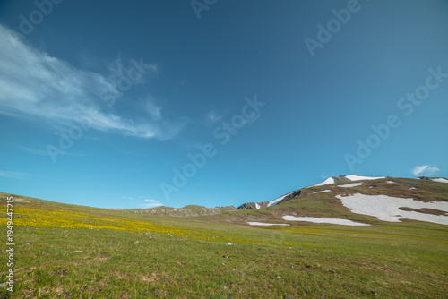 Colorful alpine scenery with sunlit flowering grassy hilly meadow on mountain...