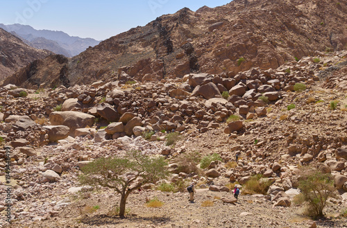 Dramatic landscape of Wadi Muajed or Majid in Saint Katherine Protectorate Sinai. High cliffs and granite walls. Red, green, black colors of magmatic rock. Dikes. Tourists in a trail. Active lifestyle