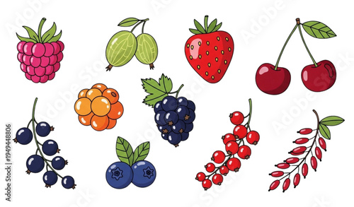 Colorful Berry Vector Set with Raspberry Strawberry Cherry and Blueberry Flat Illustration