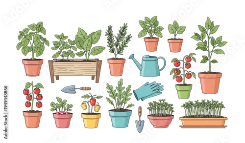 Indoor Kitchen Garden Vector Set with Herbs Vegetables and Microgreens in Pots
