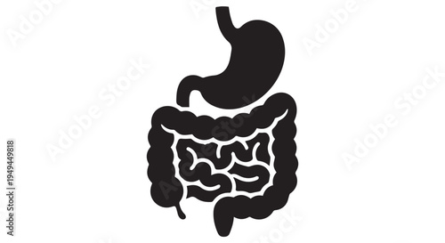 A black silhouette of the human digestive system on a Transparent Background
