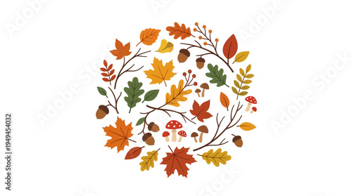 Colorful autumn leaves arrangement.