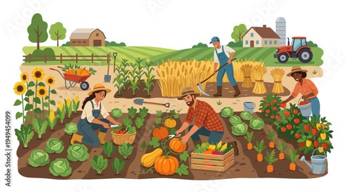Farmers Harvesting Vegetables in Garden.