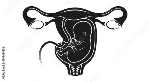 Detailed black silhouette illustration of a human uterus containing a developing fetus with umbilical cord, depicting the female reproductive system and pregnancy.