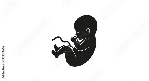 Black silhouette of a human fetus with an umbilical cord, curled in the womb, representing early stages of pregnancy and development.