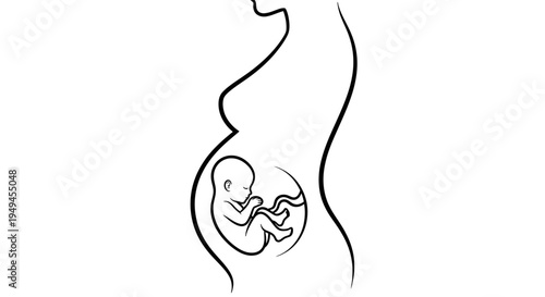 Line drawing of a pregnant woman's silhouette showing a fetus in her womb.