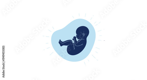 Stylized illustration of a human fetus or embryo in a womb-like blue glow, representing early pregnancy and development.