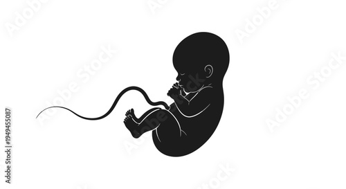 Black silhouette of a human fetus with an umbilical cord against a stark white background, representing early life.