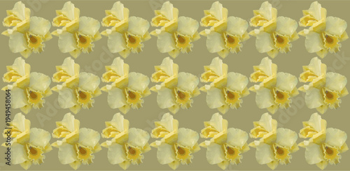Seamless Pattern of Yellow Cattleya Orchids on Olive Green Background