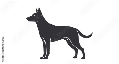 Black dog standing in profile view.