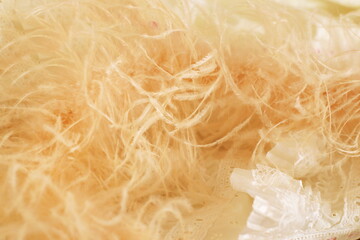 Elegant Beige Feather and Lace Abstract Background for Wedding or Mother's Day
