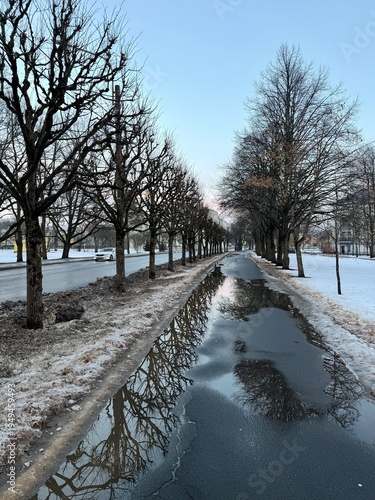 Puddles in spring