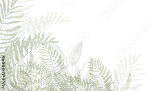 Botanical Tropical Foliage Background Watercolor Palm Leaves Jungle Nature Decorative Illustration Minimal Natural Design