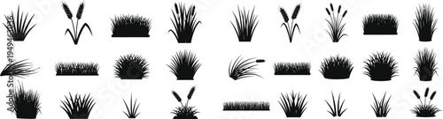 Collection of various plant and flower silhouettes in black on white background