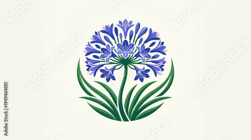 Vibrant blue agapanthus flower illustration with green leaves.