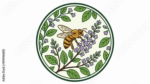 Honeybee pollinating lavender flowers in a circular botanical illustration.