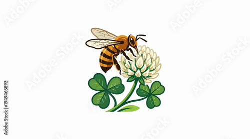 Honeybee pollinating white clover flower with green leaves.