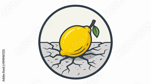 Vibrant Lemon Resting on Cracked Earth Surface.