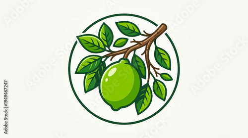 Vibrant Green Lime on a Branch with Lush Leaves.