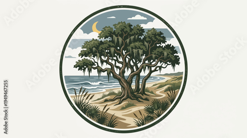 Majestic Coastal Oak Tree with Spanish Moss at Night.