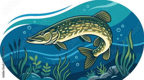 Northern Pike Fish Swimming Underwater.