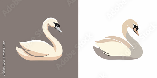 Elegant swan illustration in two distinct artistic styles on contrasting backgrounds