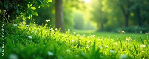 Serene green landscape, lush foliage, vibrant meadow, tranquil scene evokes feelings of peace and joy  Perfect for relaxation, nature, and well-being themes ,  health,  calm,  clean
