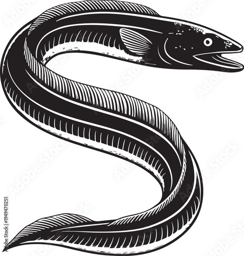 Formidable moray eel Hand-drawn Sketch Drawing Vector Illustration, Line Linear Symbol Black and White Engraving, Isolated