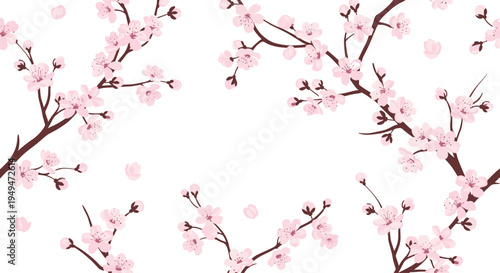 Beautiful cherry blossom branch seamless pattern with delicate pink flowers on a white background for spring designs.