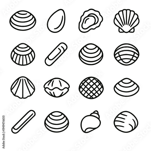 Collection of various seashell and mollusk icons in a clean outline style